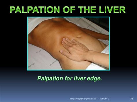 where to palpate liver